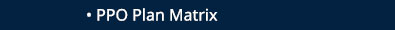 PPO Plan